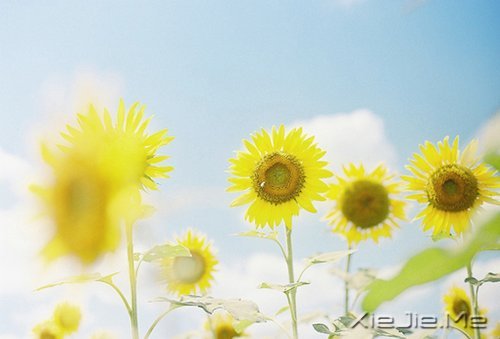 私奔吧,哪怕一个人 (7)